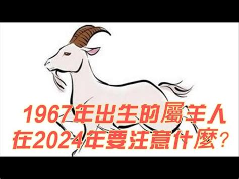 2023羊年運程1967 桌布